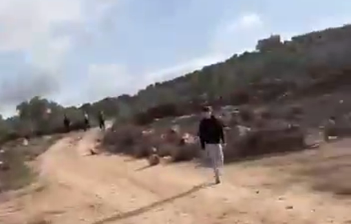 Thumbnail preview image for the video titled: An elderly Palestinian woman assaulted by an Israeli settler during the olive harvest in Turmus Ayya