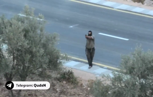 Thumbnail preview image for the video titled: Settlers opened fire and stole olive crops in Wadi Sa’ir