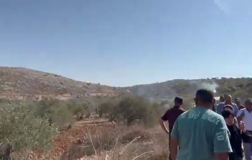 Thumbnail preview image for the video titled: Israeli forces fired tear gas at farmers and activists attempting to reach farmlands in Turmus Ayya