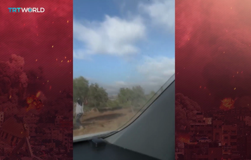 Thumbnail preview image for the video titled: Olive harvest 2025 marked by some of the worst illegal settler violence in recent years