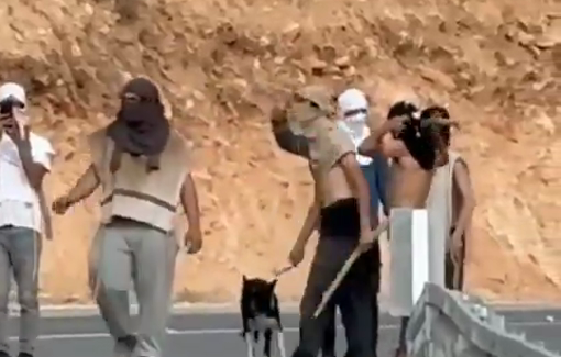 Thumbnail preview image for the video titled: Masked Israeli settlers, armed with clubs, stones and firearms prevent harvester to reach their olive trees