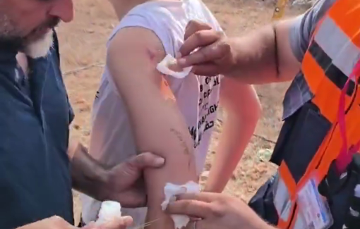 Thumbnail preview image for the video titled: The settlers simply smashed their drone into one of the activists and injured her during olive harvest