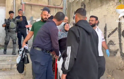 Thumbnail preview image for the video titled: Israeli forces expel an elderly Palestinian woman from Silwan Home, hand property to settlers