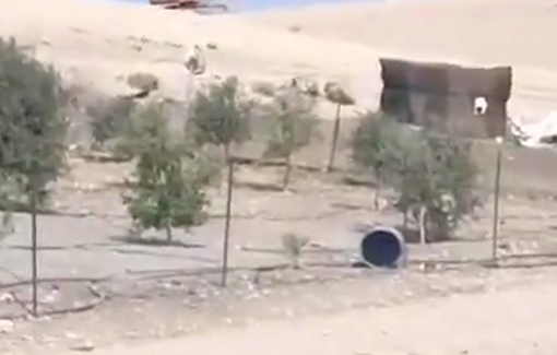 Thumbnail preview image for the video titled: Israeli settlers carried out land-leveling operations on Palestinian lands in Khirbet al-Hadidiyya