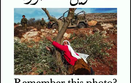Thumbnail preview image for the video titled: The Lady of the Olive Trees, Mahfouza Ishtayeh, in the village of Salem in Nablus