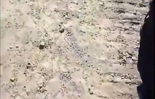 Thumbnail preview image for the video titled: An Al-Shifa patient was run over by an Israeli tank while he was fleeing the occupation of the zone