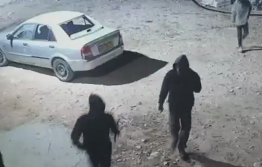 Thumbnail preview image for the video titled: Israeli settlers from Susia settlement attacked the properties and the livestock of a Palestinian family