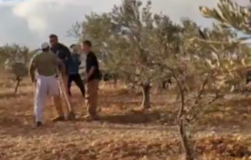 Thumbnail preview image for the video titled: Settlers are invading an olive grove and attacking Sheikh Saeed, the landowner, who was shot by a settler a few months ago