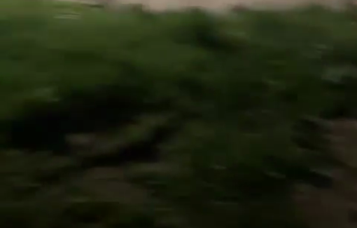 Thumbnail preview image for the video titled: Young man was killed by Israeli forces and others were injured between the villages of Einabus and Awarta