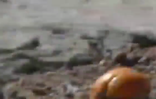 Thumbnail preview image for the video titled: Israeli settlers attempted to steal a herd of sheep belonging to Palestinians in Masafer Yatta