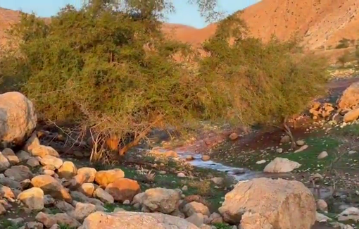 Thumbnail preview image for the video titled: Ras al-Ain canal blocked in two places near the illegal outpost of Avishai Hurwitz and Micah Sudai