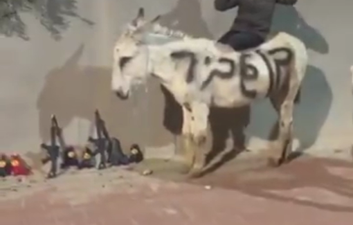Thumbnail preview image for the video titled: Tarabin al Sana's children riding donkeys mock Ben Gvir's "New Order" operation