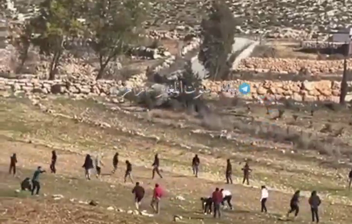 Thumbnail preview image for the video titled: Palestinians confront settler militias during a pogrom on Khirbet Abu Falah