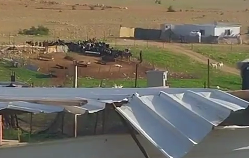 Thumbnail preview image for the video titled: Israeli settlers graze their sheep on Palestinian land in the village of Shallal Al-Auja