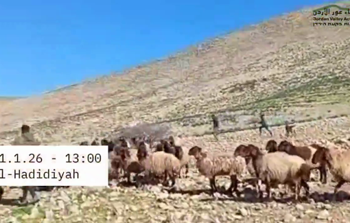 Thumbnail preview image for the video titled: At the whistle of a settler, an IDF soldier reports, stops, and abducts Palestinian civilians and abuses them at the base