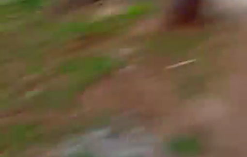 Thumbnail preview image for the video titled: Settlers attempted to run over children while they were playing in front of their homes in Khirbet al-Marajem