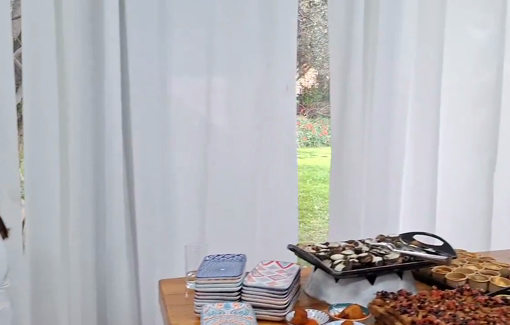 Thumbnail preview image for the video titled: Pepper-spraying activists, then dining at Yitzhak Herzog's presidential residence in Jerusalem