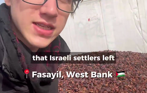 Thumbnail preview image for the video titled: Almost all families in Fasayil al-Wusta have been displaced by Israel using both settler harassment and legal proceedings