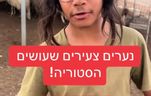 Thumbnail preview image for the video titled: Settler kid promoting ethnic cleansing in the West Bank: "Using the herd we're taking possession"