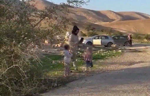 Thumbnail preview image for the video titled: A west bank settler brings his children to harass solidarity activists in ethnic cleansed Ras al-Ein Auja