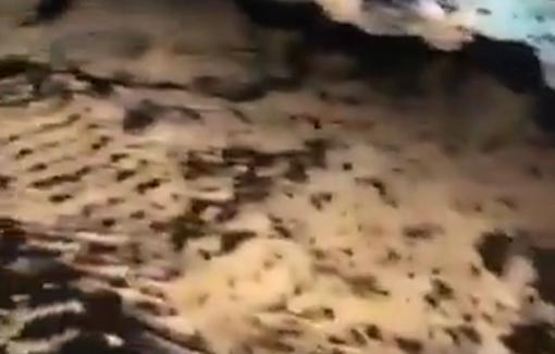 Thumbnail preview image for the video titled: Israeli forces ravaged the area and sealed off the main entrance to the village of Kafr Malik