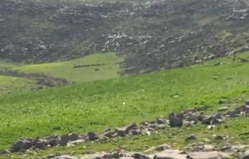 Thumbnail preview image for the video titled: Israeli occupation forces set up “caravans” on Palestinian land in the Wadi Samsem area of Al-Dhahiriya