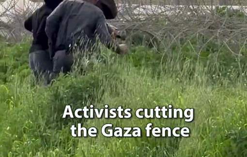 Thumbnail preview image for the video titled: Activists prevented to march to the Gaza border fence, in soldarity with dockworkers all over Mediterranean striking against trade with genocidal Israel Feb 6