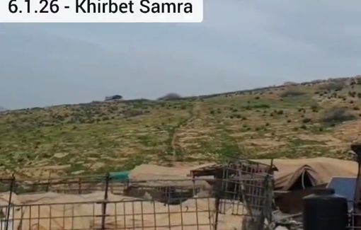 Thumbnail preview image for the video titled: In Khirbet Samra, settlers drove 200 cows into the fields, making the shepherds’ lives miserable