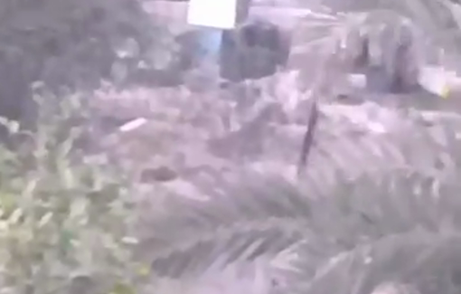 Thumbnail preview image for the video titled: Settlers expel about 15 families from their homes in the Deir al-Dik al-Tahta area of ​​Jericho