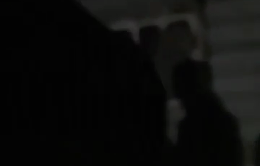 Thumbnail preview image for the video titled: Steelers from Havat Giborei David invading the Palestinian properties, with dogs, pepper spray and batons