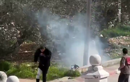 Thumbnail preview image for the video titled: In Talfit, Israeli forces fire tear gas canisters toward civilians as they head to Friday prayers