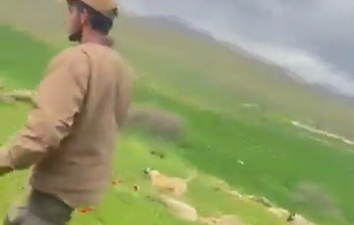 Thumbnail preview image for the video titled: Palestinian Farmer Yussef Bisharat attacked by Settler militias, then arrested by Israeli forces in Northern Jordan Valley