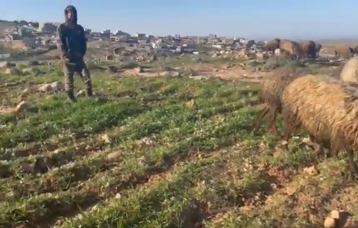 Thumbnail preview image for the video titled: In Hraibat al-Nabi, settlers dressed in military uniforms detained two members of the Palestinian landowners’ family