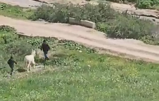 Thumbnail preview image for the video titled: Settlers fleeing Rahwa with a donkey they had stolen