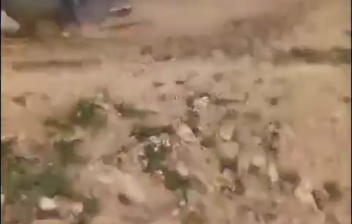 Thumbnail preview image for the video titled: A settler violently kicked a resident of Al-Tabban in Masafer Yatta, and the Israeli army arrested the Palestinian instead the Palestinians