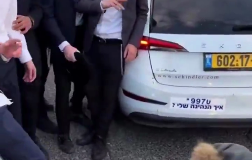 Thumbnail preview image for the video titled: Israelis attacked a Christian woman as she was walking down the road with her dogs in Jerusalem