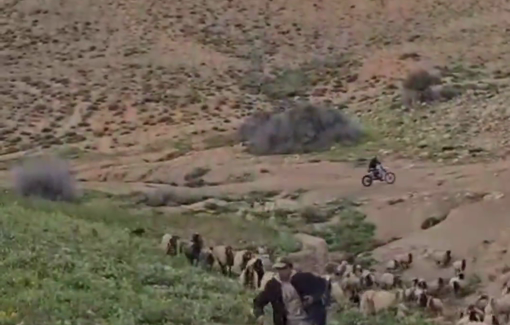 Thumbnail preview image for the video titled: Soldiers arrested A. after settler Gilad Amosi from the illegal “Tene Yarok Farm” drove his herd into a fire zone and called the army