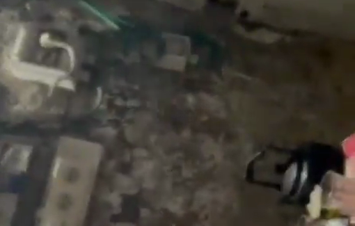 Thumbnail preview image for the video titled: Settlers carried out a pogrom in Hammam al Maleh, targeting vehicle, home, residents, activists, infrastructure and animals