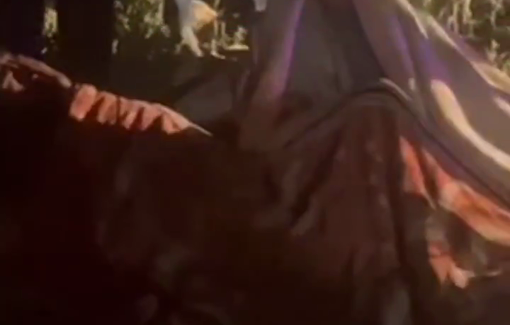 Thumbnail preview image for the video titled: 20-30 armed settlers violently assaulted the resident of Humsa, and stole 350 sheep and belongings