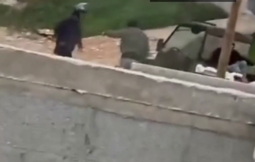 Thumbnail preview image for the video titled: Israeli settlers assaulting a Palestinian man in front of his home and his family in the village of Qusra