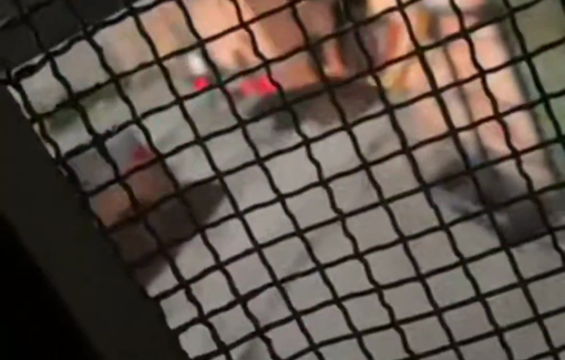 Thumbnail preview image for the video titled: Israeli forces removed the car in which a family of a father, mother, and their two children were killed in Tammun