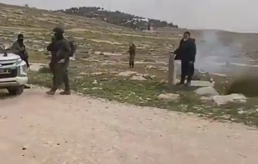 Thumbnail preview image for the video titled: In al-Mufaqarah, settlers in uniform detained the shepherd, preventing him from grazing his flock