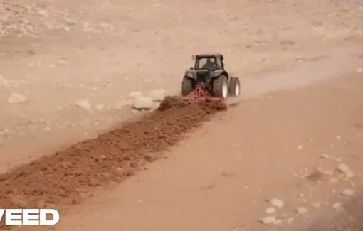 Thumbnail preview image for the video titled: Illegal settler Elyashiv Nahum of Havat Yehuda in the South Hebron Hills explaining the success of his herding farm