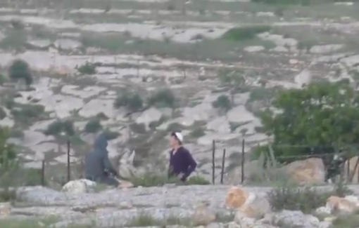 Thumbnail preview image for the video titled: A settler walked into Sha’ab al-Botum in Masafer Yatta and hurled stones at a Palestinian resident