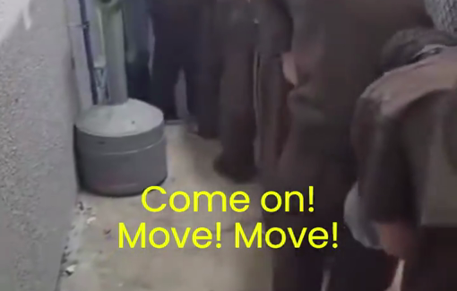 Thumbnail preview image for the video titled: "The special treatment is over. Get into the cages"