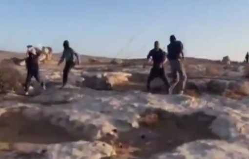 Thumbnail preview image for the video titled: Pogrom in Qawawis: several Palestinians and activists injured, no settlers arrested