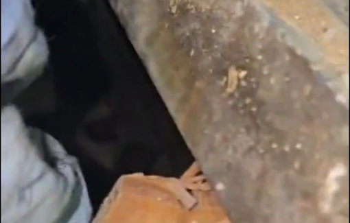 Thumbnail preview image for the video titled: “I can’t get out, my leg is stuck”: Moment little Larissa was saved from under the Beirut rubble