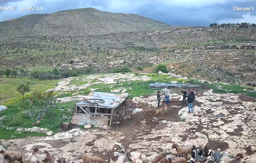 Thumbnail preview image for the video titled: In Khirbet al-Marajem near Duma, settlers attacked Palestinians resident inside a closed military zone