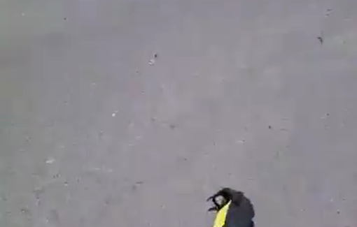 Thumbnail preview image for the video titled: Israeli targeted a motorbike, in the Qasmiye area