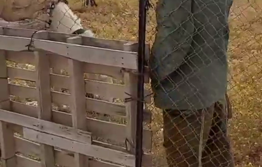 Thumbnail preview image for the video titled: At Taybeh Junction, settlers cut the fence of a Palestinian farm with the backing of Israeli soldiers